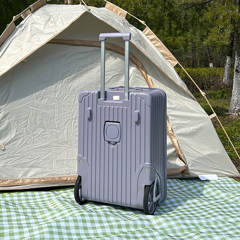 20/24 inch Outdoor Luggage Cam - Spinner Wheel Rolling Suitcase 20 Inch recension och pris